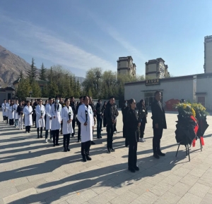 西藏阜康腫瘤醫院黨支部開展清明祭英烈活動